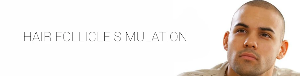 Hair Follicle Simulation